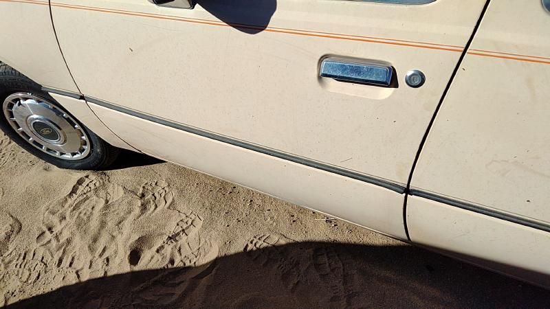 1984-1987 Ford Tempo Front Door LH
