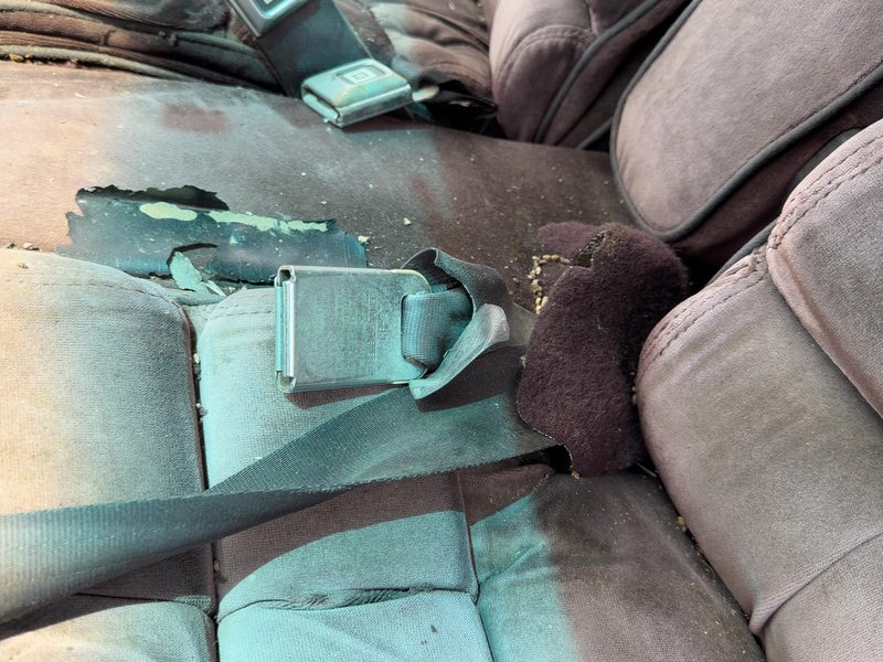 1986 Buick Park Avenue (80&up) Front Seat Belt LH