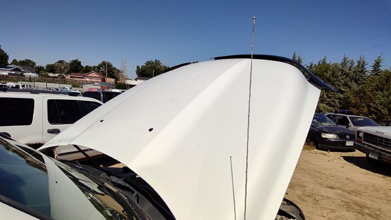 2009-2024 Dodge Ram Pickup 1500 Series Hood