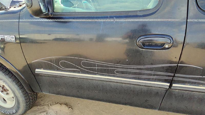 1997-1999 Ford Pickup F150 Series Front Door LH