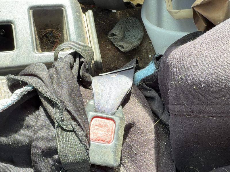 1988 Toyota FX (includes Fx16) Front Seat Belt LH