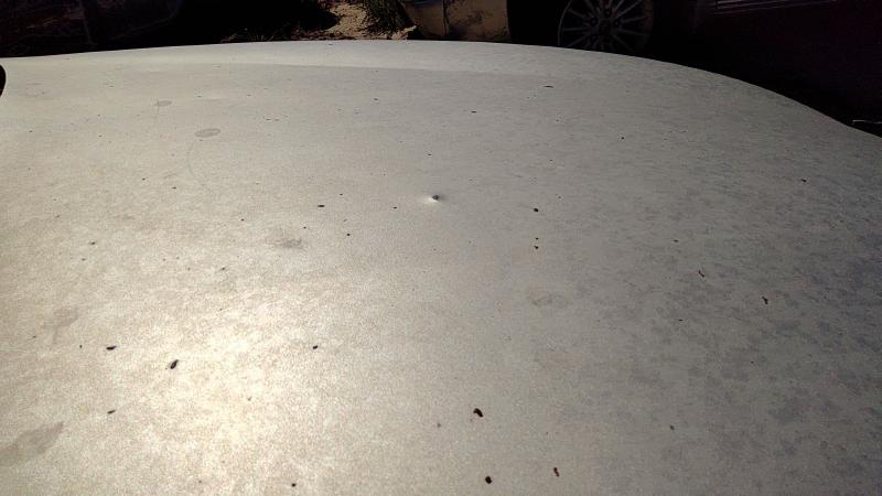 2003-2005 Cavalier Hood