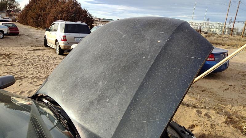 2001-2005 (discontinued) Passat Hood