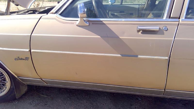 1980-1985 Oldsmobile Eighty-eight (80 & Up) Front Door LH