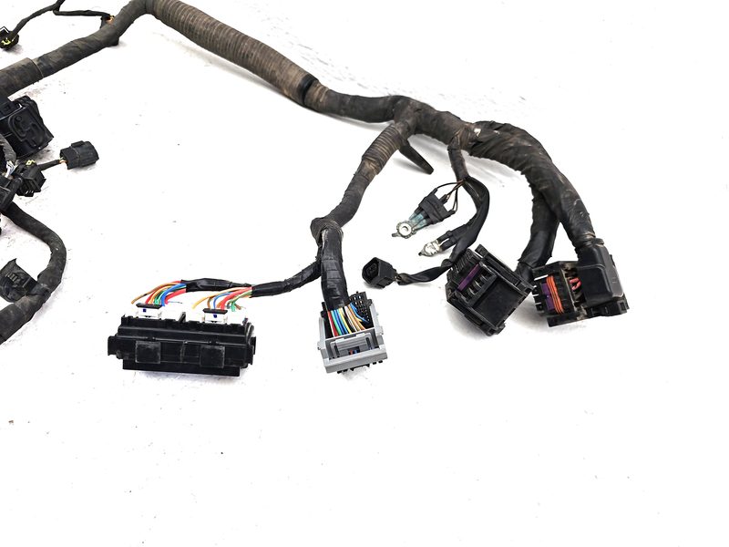 2014 Kia Forte Wire Harness (Engine)