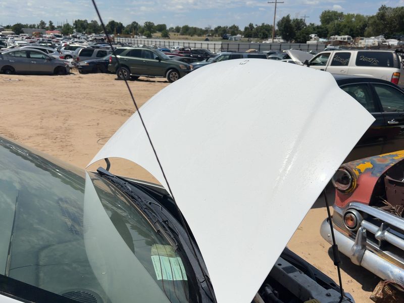 1996-2000 Chrysler Town & Country Hood