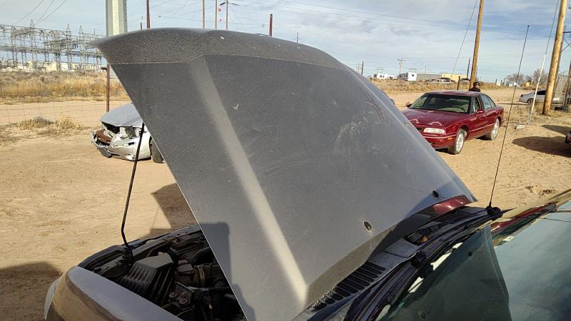 2002-2004 Nissan Xterra Hood