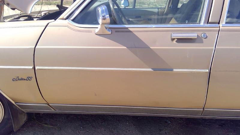 1980-1985 Oldsmobile Eighty-eight (80 & Up) Front Door LH