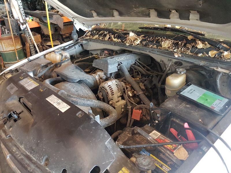 1999-2007 Chevrolet 1500 Silverado Pickup Carrier/Differential Assembly