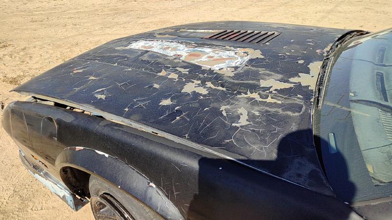 1982-1992 Camaro Hood