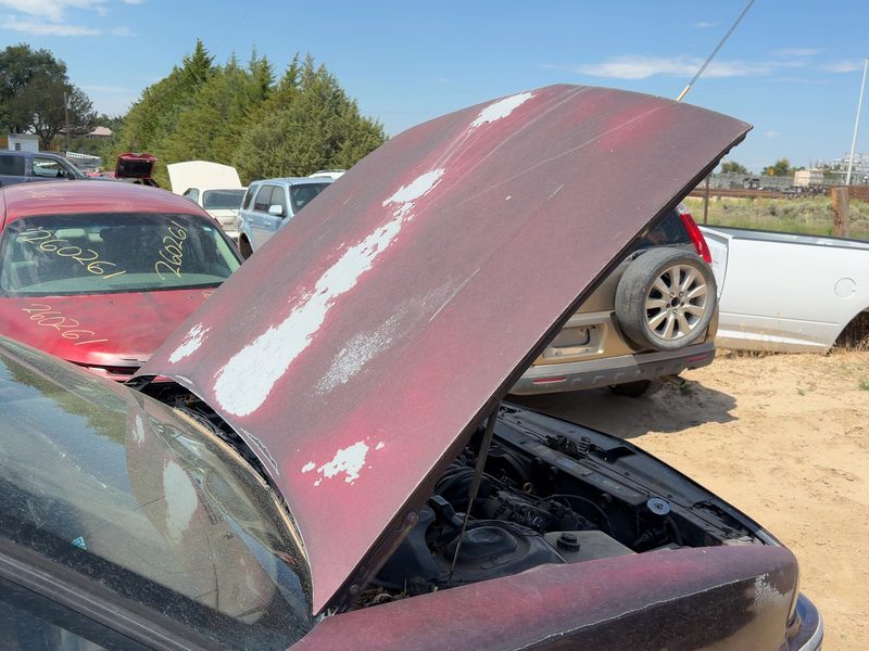 1991-1999 Oldsmobile Eighty-eight (80 & Up) Hood
