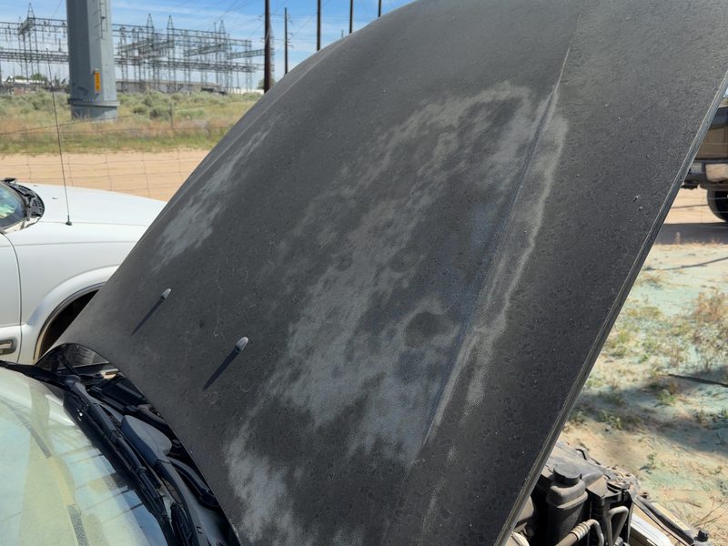 1997-2003 BMW 530i Hood