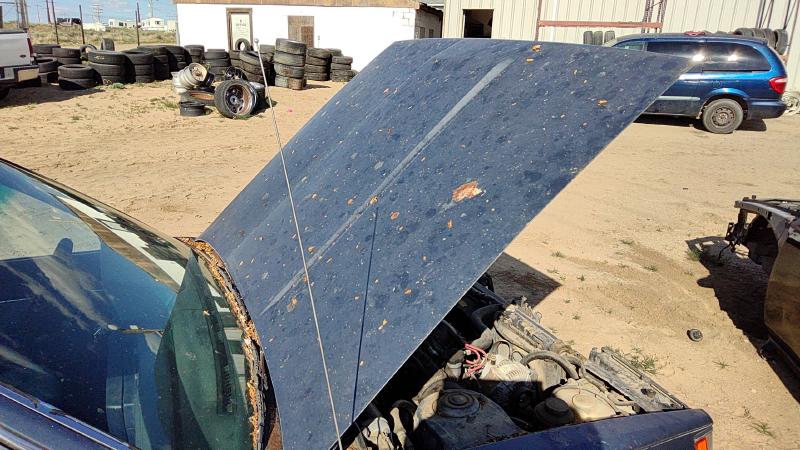 1983-1986 Toyota Camry Hood