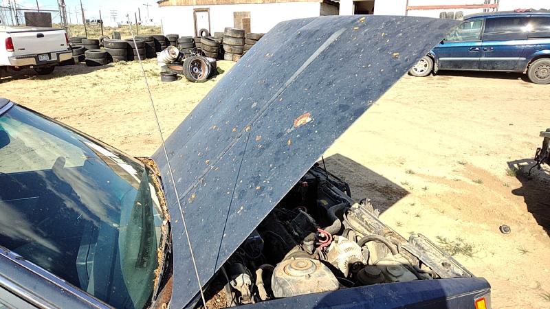 1983-1986 Toyota Camry Hood