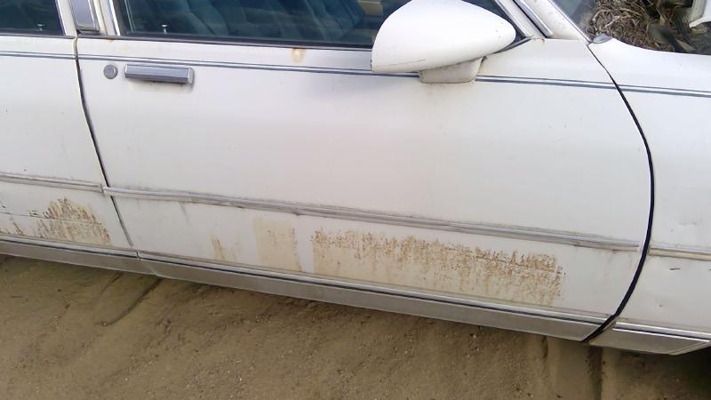 1980-1989 Chevrolet Caprice (80 & Up) Front Door RH