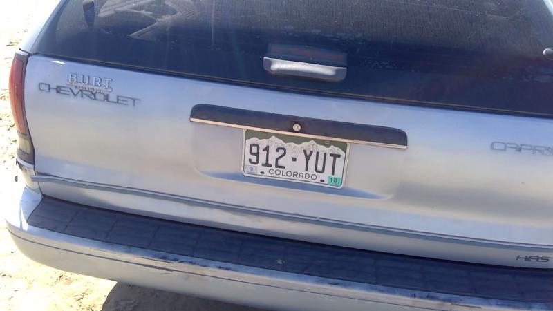 1991-1996 Chevrolet Caprice (80 & Up) Trunk/Decklid/Hatch/Tailgate