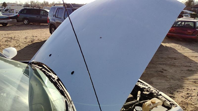 2000-2003 Nissan Sentra Hood