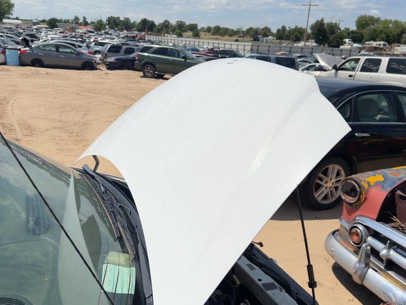 1996-2000 Chrysler Town & Country Hood