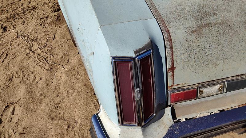 1975 Cutlass (also See Calais 85-88) Quarter Panel Moulding LH