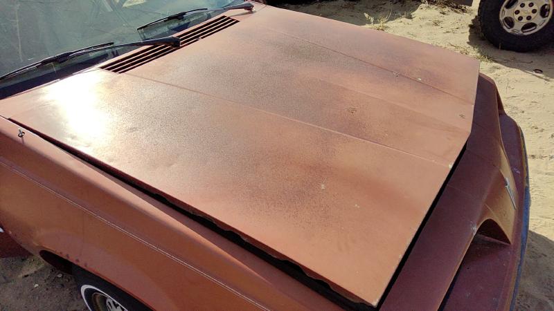 1982-1989 Pontiac Sunbird Hood