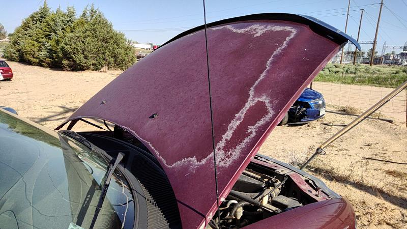 1997-2004 Ford Expedition Hood