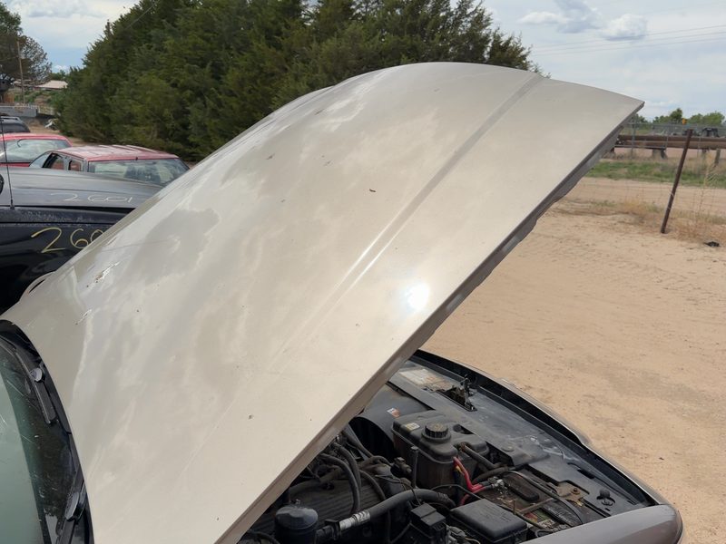 1998-2011 Mercury Grand Marquis (79 & Up) Hood