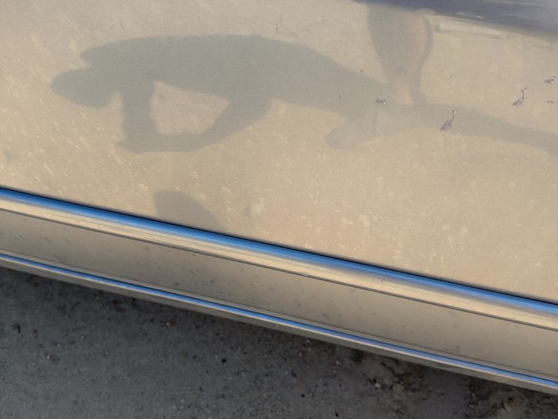 2007 Honda Accord Front Door Moulding RH