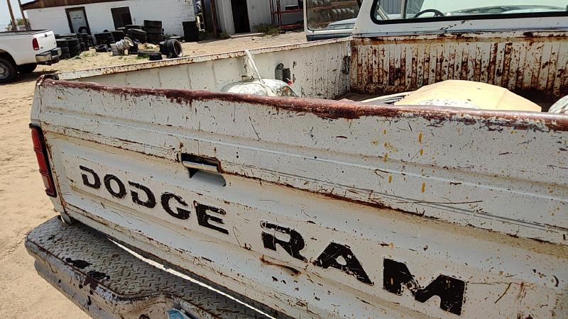 1981-1993 Dodge Pickup 250 Series Trunk/Decklid/Hatch/Tailgate