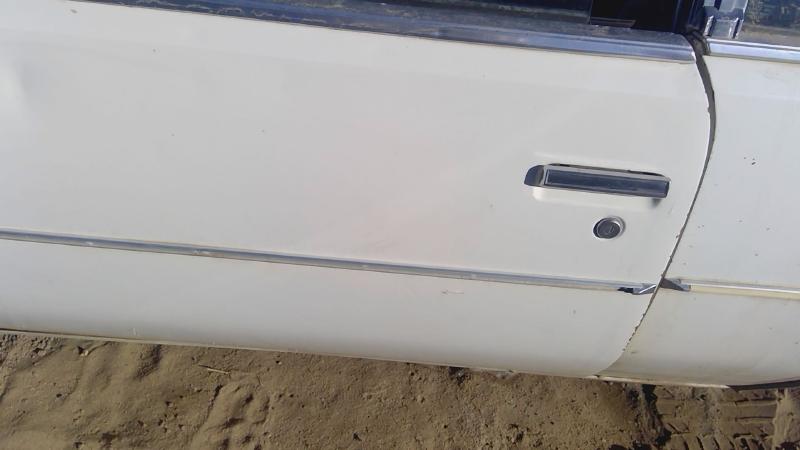 1978-1980 Regal (also See Somerset 85-87) Front Door LH
