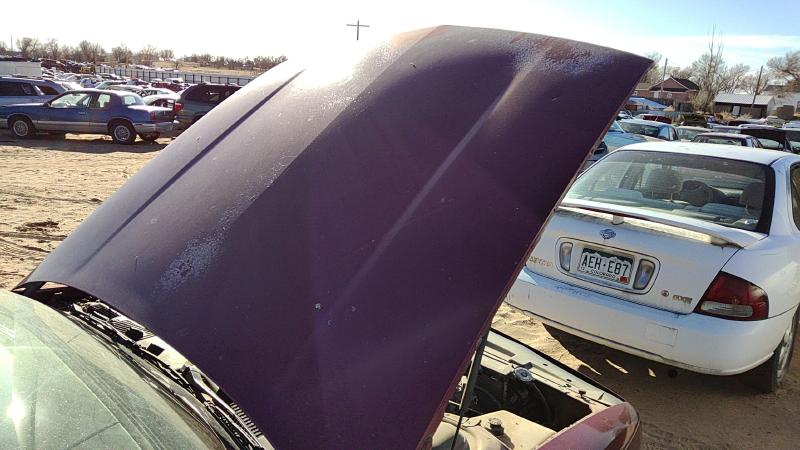 1991-1999 Oldsmobile Eighty-eight (80 & Up) Hood