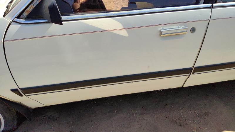 1982-1989 Buick Century Front Door LH