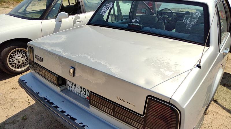 1986-1991 Oldsmobile Eighty-eight (80 & Up) Trunk/Decklid/Hatch/Tailgate