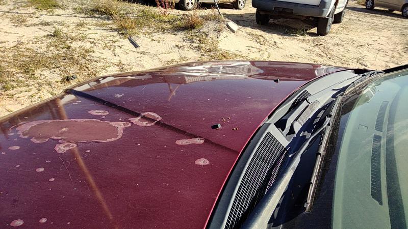 2004-2008 Mitsubishi Galant Hood