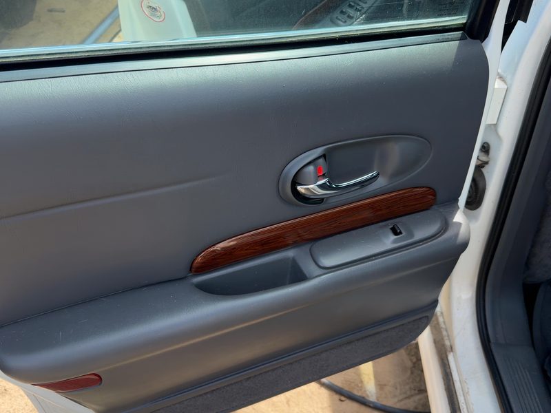 2004-2005 Buick Lesabre (80 & Up) Rear Door Trim Panel LH