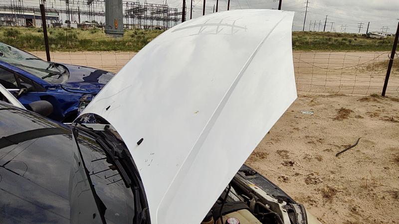 2000-2004 Ford Focus Not RS Hood