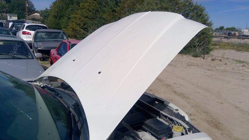 2005-2010 Chrysler 300 Hood