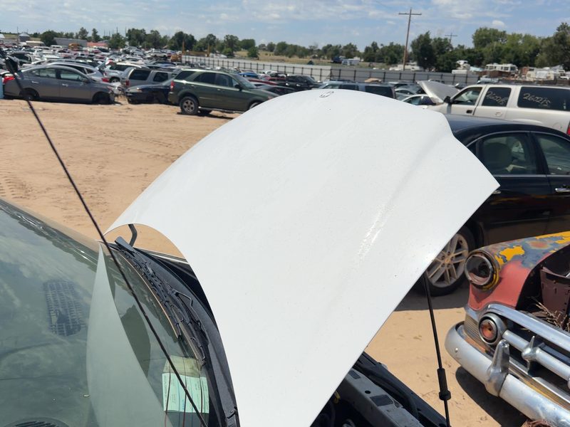 1996-2000 Chrysler Town & Country Hood