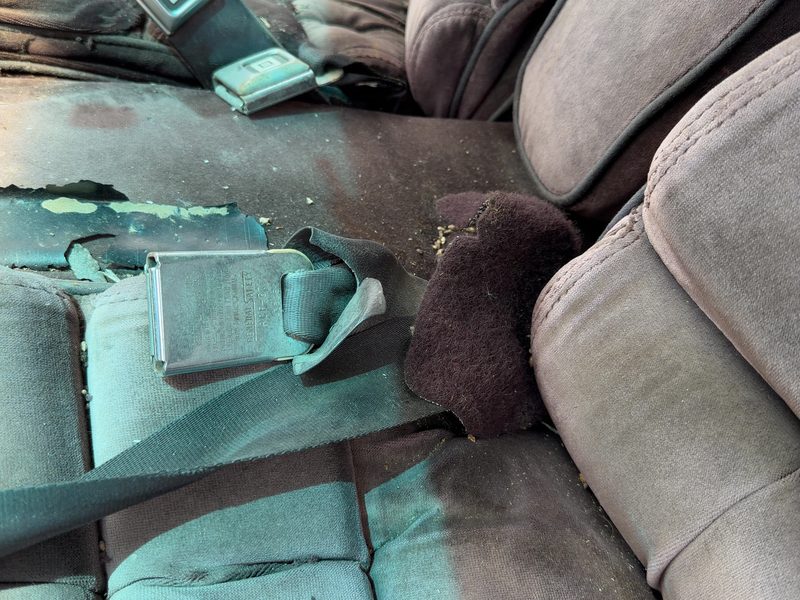 1986 Buick Park Avenue (80&up) Front Seat Belt LH