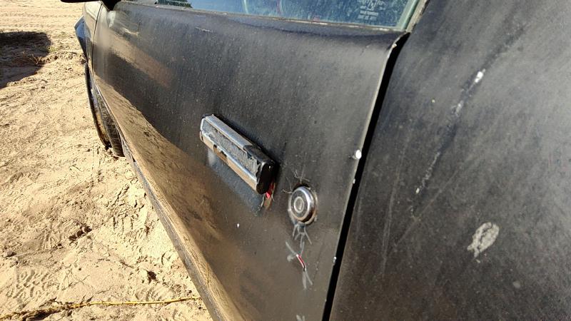 1982-1992 Camaro Front Door LH