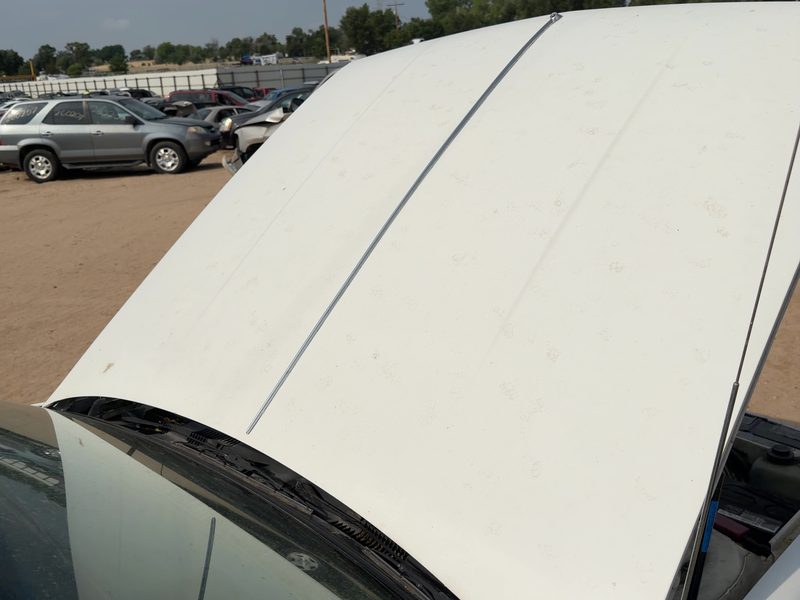 1985-1991 Oldsmobile Ninety-eight (80 & Up) Hood