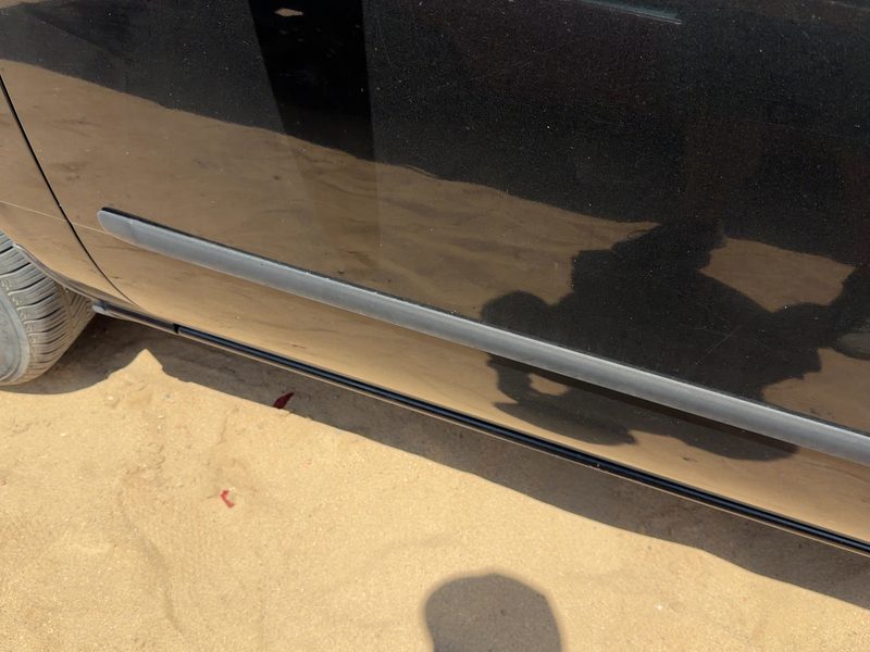1998 Nissan Maxima Front Door Moulding LH