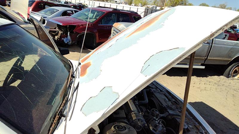 1982-1996 Buick Century Hood