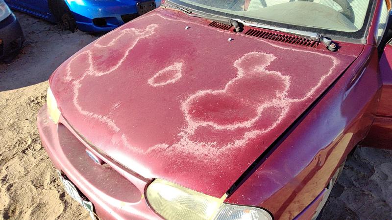 1994-1997 Ford Aspire Hood