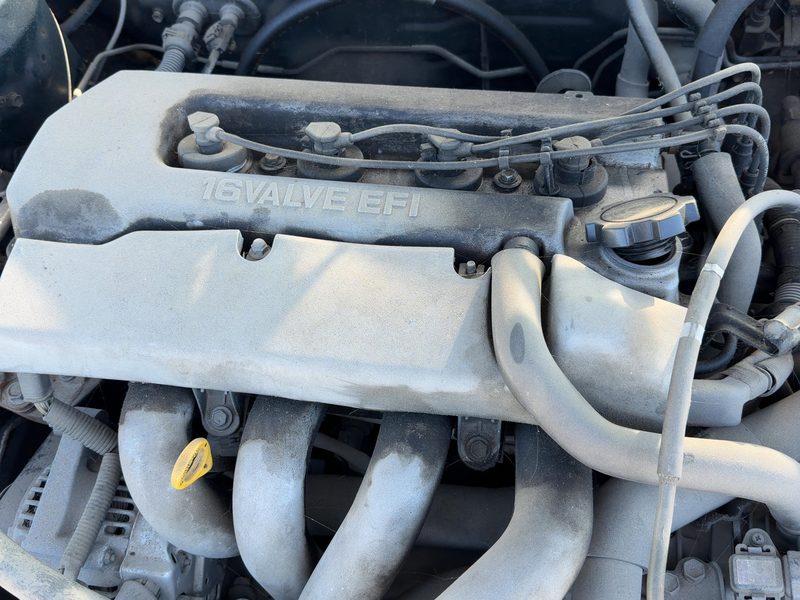 1999 Toyota Corolla (also See FX 87-88) Engine Cover