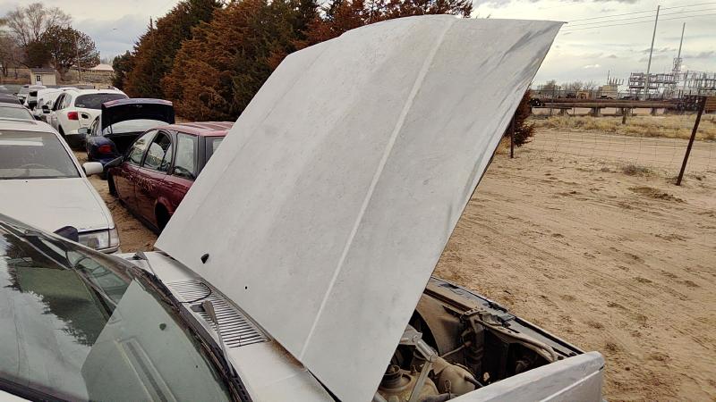 1991-1995 Volvo 740 Hood