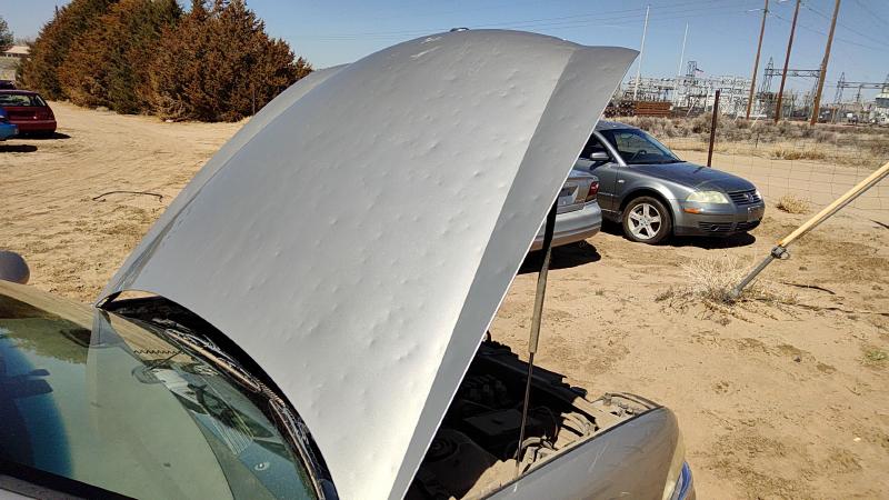 1997-2005 Buick Park Avenue (80&up) Hood