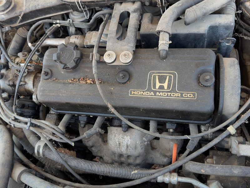 1988-1989 Honda Accord Cylinder Head