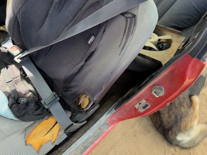 1988 Toyota FX (includes Fx16) Front Seat Belt LH