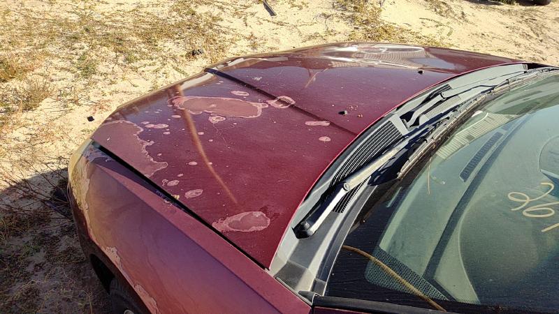 2004-2008 Mitsubishi Galant Hood