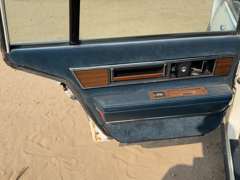 1986 Oldsmobile Ninety-eight (80 & Up) Rear Door Trim Panel LH